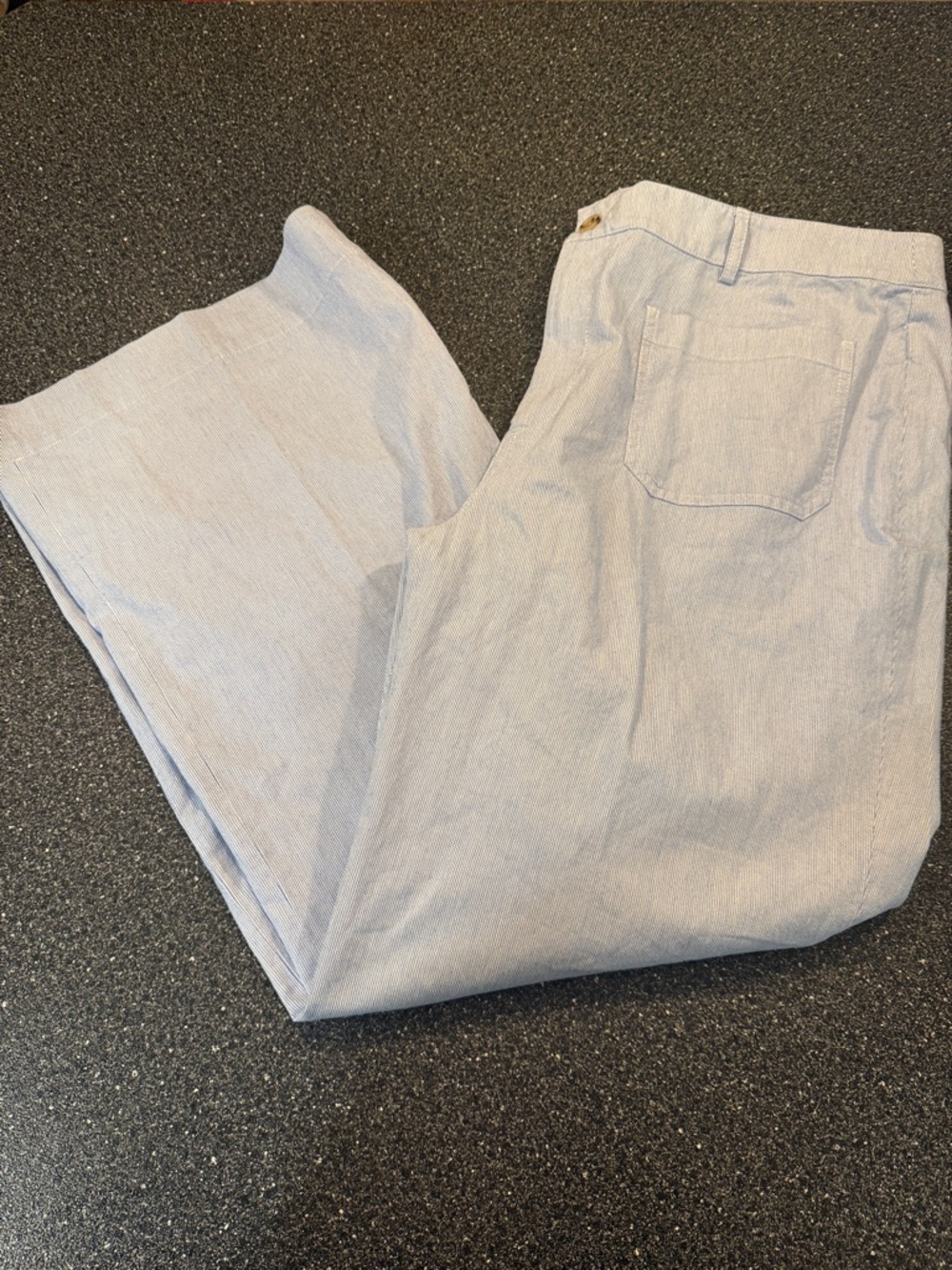 NWT Women’s J.Crew Lizzie Cotton Pant in Light Blue - size 35